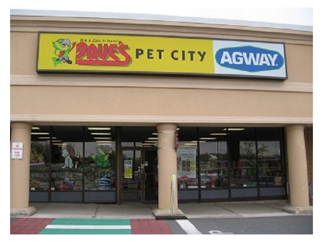 DAVES SODA AND PET 