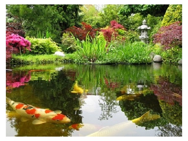 LONG ISLAND POND