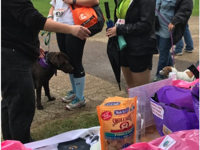 PFWVT WAG IT FORWARD 2017